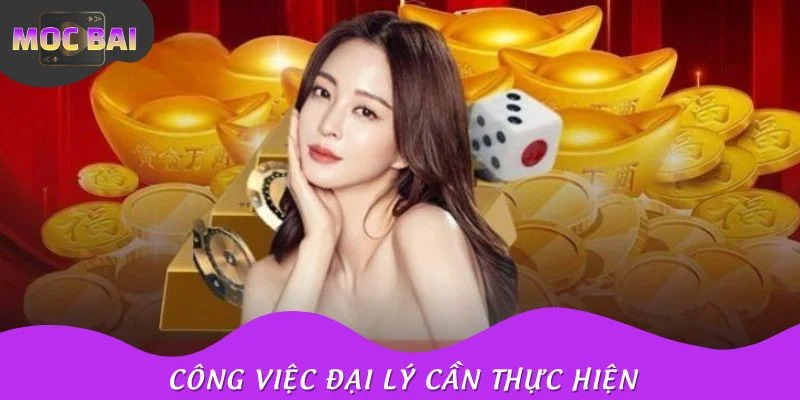 Công việc cần thực hiện của CTV