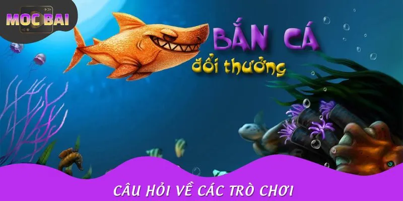FAQ liên quan tới sản phẩm mà trang phát hành?