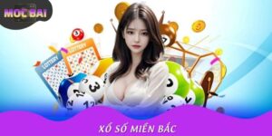 Xổ Số Miền Bắc Là Gì? Cách Chơi, Cơ Cấu Thưởng Tại Mocbai